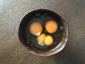 IMG_1372[1]
